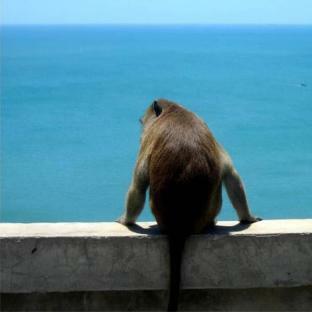 Seascape Resort Baan Krood Bangszaphan Kültér fotó